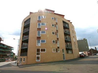 Picture 7